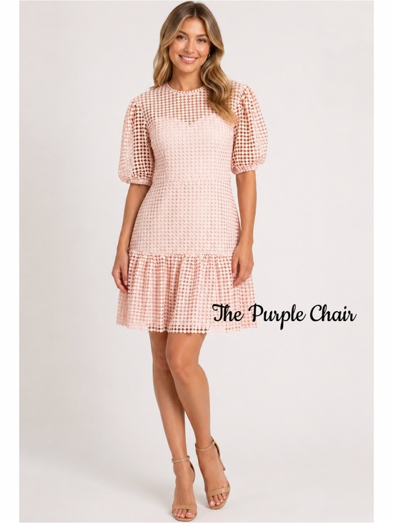 Donna Morgan Dresses & Skirts - DONNA MORGAN NWT Blush Embroidered Lace Puff Sleeve Dress 2